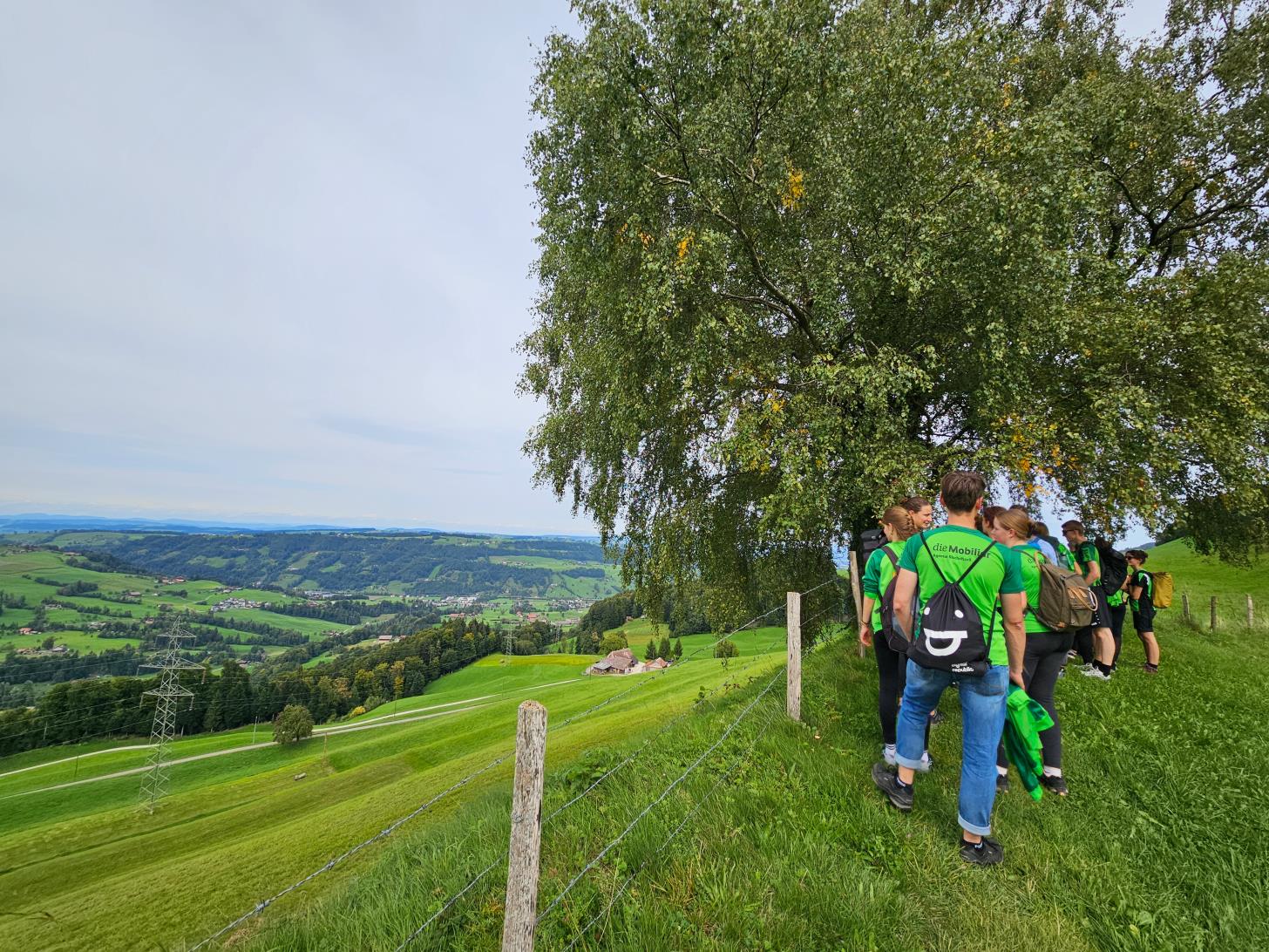 Vorschau